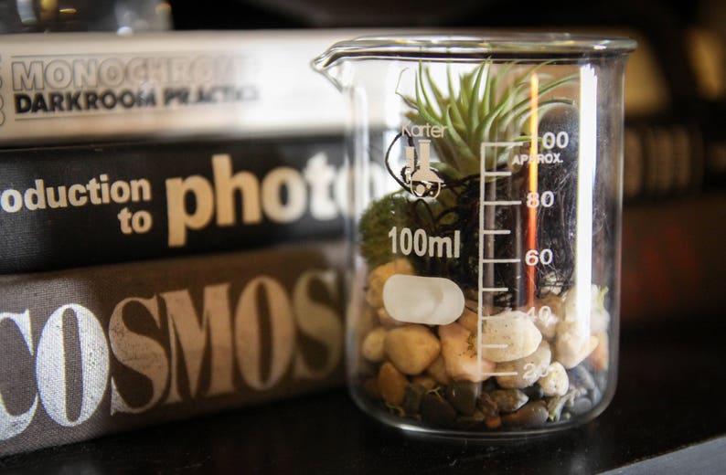 Beaker Terrarium Kit Neutral DIY Terrarium Science Lab Etsy