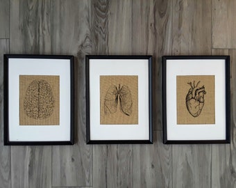 Brain Heart Lungs Burlap Set – Triptych Anatomy Wall Art (3-Piece)