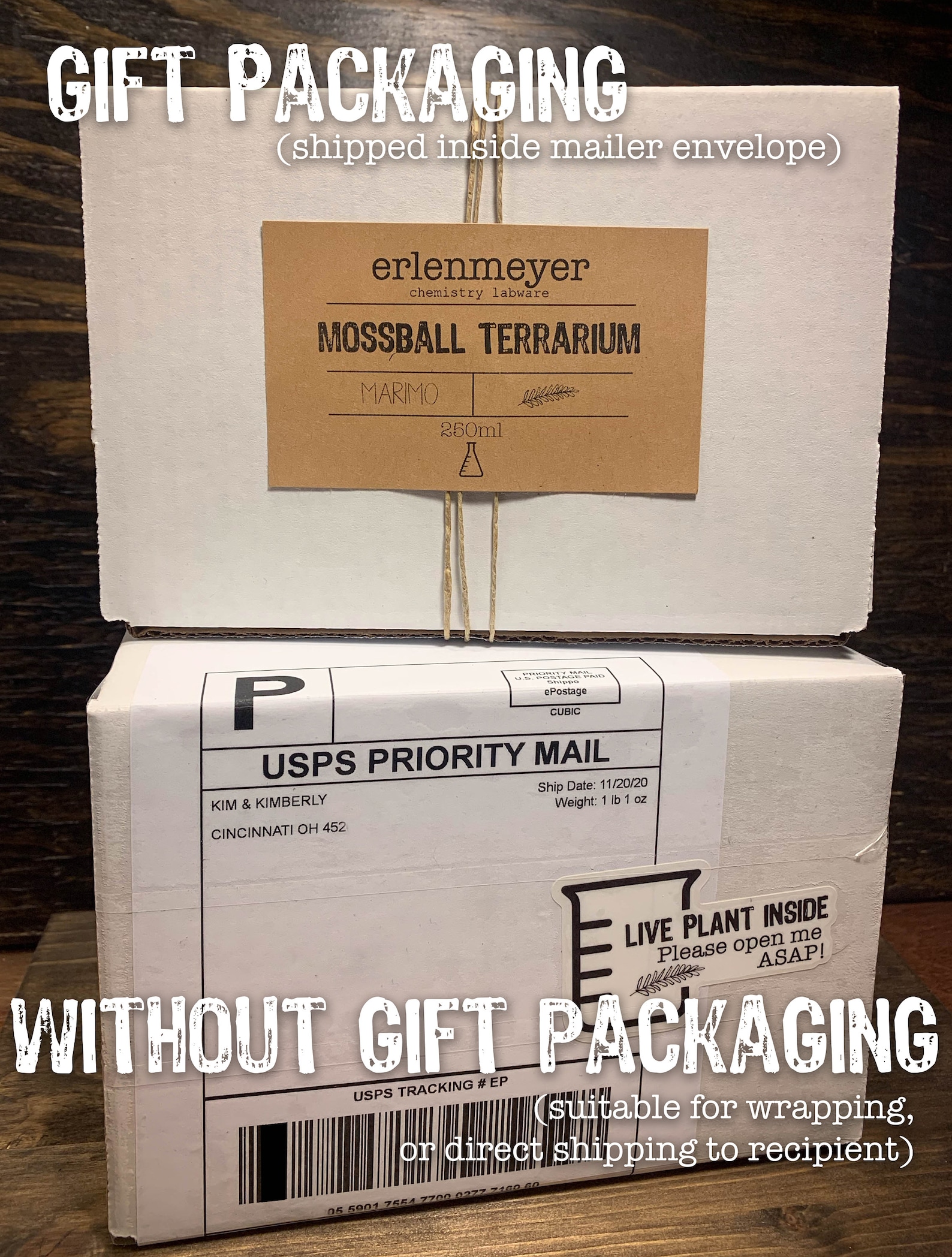 Air Plant Terrarium Kit Erlenmeyer Flask Chemistry Gift Etsy