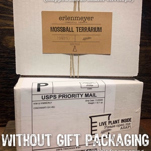 Op de afbeelding: Een witte kartonnen doos met een bruin label waarop "USPS Priority Mail" en "Kim & Kimberly, Cincinnati OH 452" staat. De doos is ingepakt in bruin papier en vastgebonden met touw. Een kleiner bruin label met de tekst "erlenmeyer chemistry labware MOSSBALL TERRARIUM MARIMO 250ml" is aan de doos bevestigd. Een witte sticker met de tekst "LIVE PLANT INSIDE Please open me ASAP!" is aan de doos bevestigd. De doos staat op een houten oppervlak.