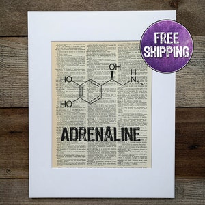 May include: A vintage dictionary page with a black and white illustration of the chemical structure of adrenaline. The word "ADRENALINE" is printed in bold black letters below the illustration.