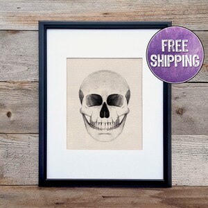 Skull Art Print On Canvas - Skull Print For Skull Home Decor - Human Skull Anatomy Wall Art - Halloween Decor - Anatomy Drawings