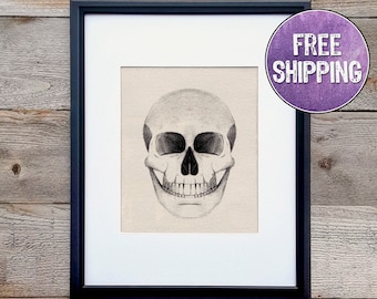 Skull Art Print On Canvas - Skull Print For Skull Home Decor - Human Skull Anatomy Wall Art - Halloween Decor - Anatomy Drawings