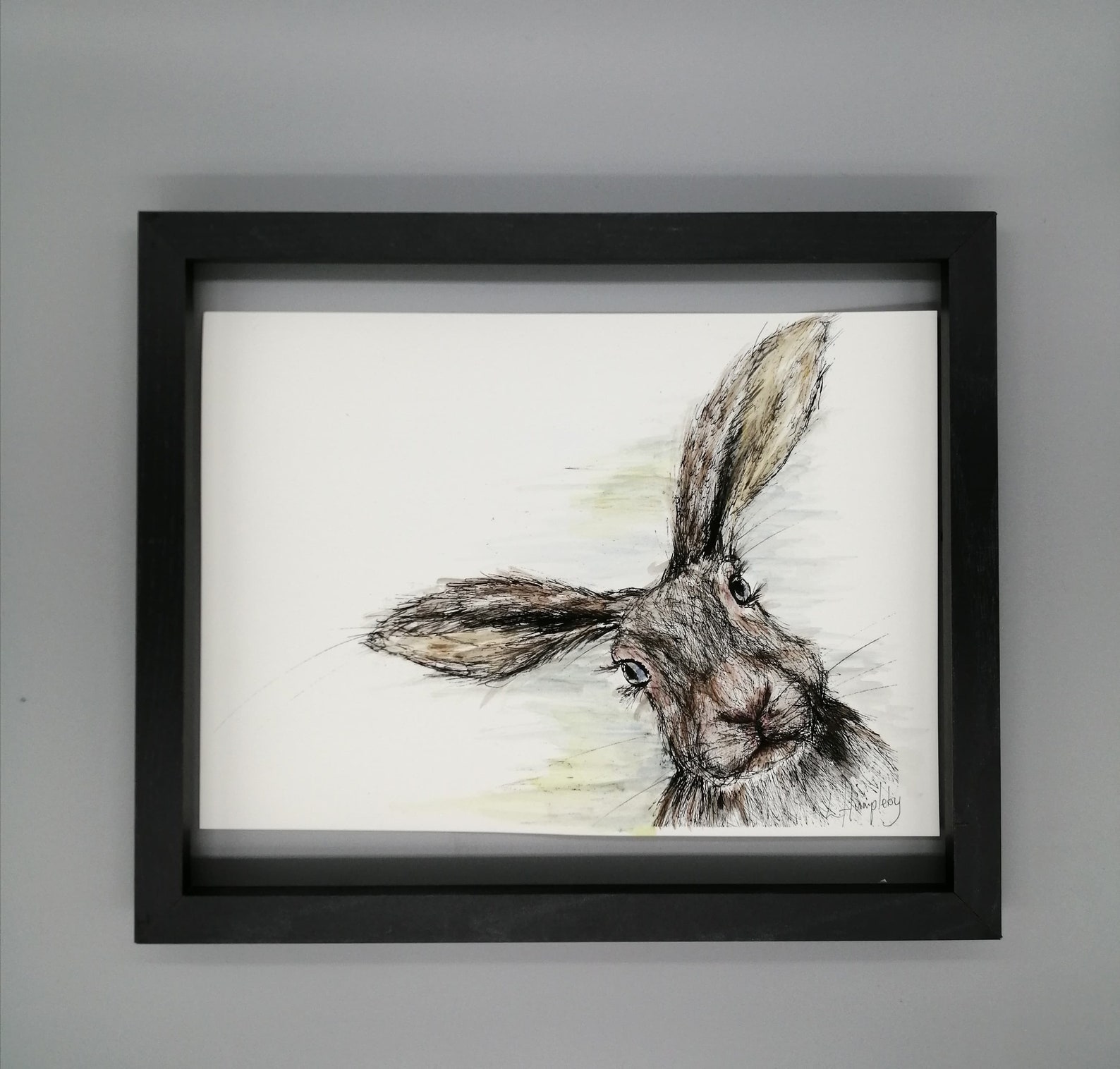 Coloured Hare Print Scottish HareA4 Print'curious Etsy
