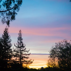 Sunset over trees in California photo greeting card