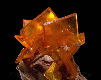 Framed Mineral Micro-Photo - Orange Wulfenite from Rowley Mine