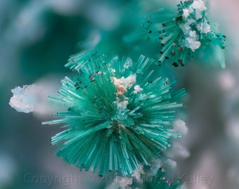 Framed Mineral Micro-Photo - Green Brochantite from Blue Bell Mine