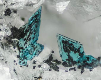 Framed Mineral Micro-Photo - Blue Posnjakite from Clara Mine