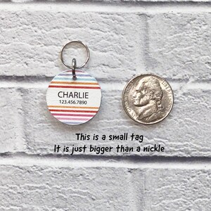 May include: A small, round, colorful pet ID tag with the name "CHARLIE" and the phone number "123.456.7890" printed on it. The tag is slightly larger than a US nickel.