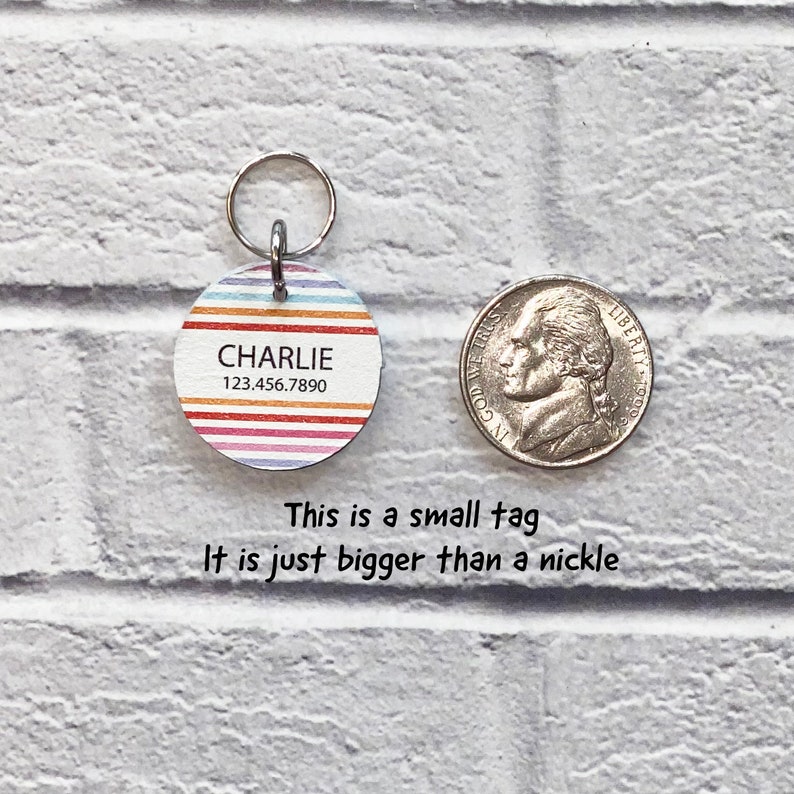 May include: A small, round, colorful pet ID tag with the name "CHARLIE" and the phone number "123.456.7890" printed on it. The tag is slightly larger than a US nickel.