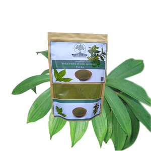 Insulina Plant Organic Dried Leaves Powder ( Costus Igneus ) Thebu