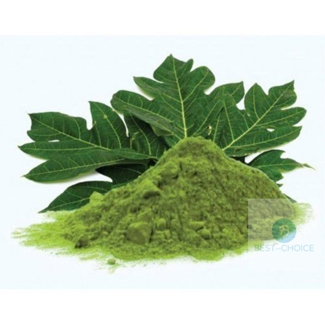 Papaya Leaf Powder Pure 100 Natural Etsy