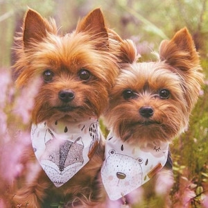 Teacup Dog Bandana Collar: Autumn Rain Animal Print, XXS-XS