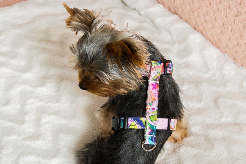 Small Teacup Dog Harness Made From Cotton With Embroidery Etsy