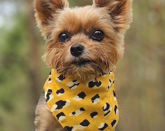 Mustard Yellow Small Dog Collar, Bandana, Bow Tie, Leash | Teacup Dog Accessories