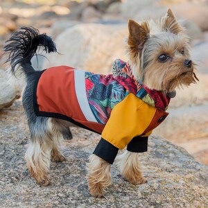 Peut inclure: Un petit chien portant une veste à capuche colorée avec un motif floral. La veste est orange, jaune et noire avec une bande blanche. Le chien est debout sur un rocher.