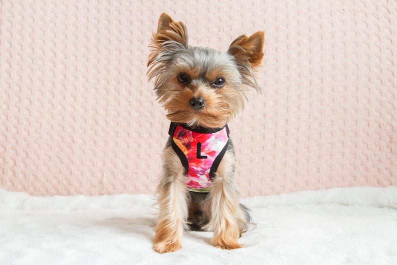 Small Teacup Dog Harness Made From Cotton With Embroidery Etsy Australia