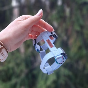 Peut inclure: Un harnais pour chien bleu clair avec des boucles en plastique noir et un anneau en D en métal. Le harnais comporte une petite étiquette marron avec du texte. Il est tenu dans une main sur un fond vert flou.