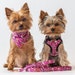 see more listings in the Harnesses section