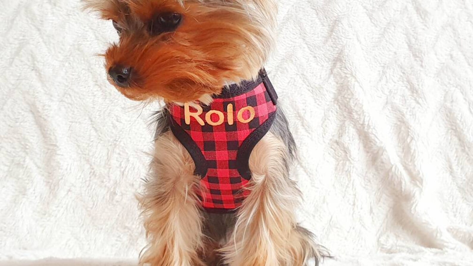 Small Teacup Dog Harness Made From Red Plaid Check Cotton With Etsy