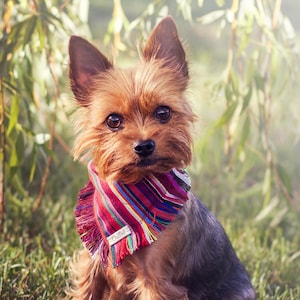 Red Tribal Boho Dog Bandana: Cotton Blend Over-the-Collar Scarf