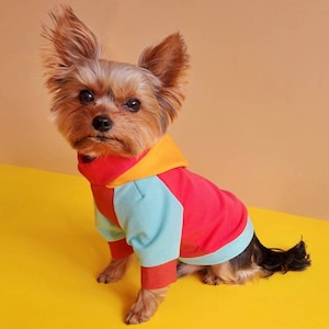 Color Block Mustard Yellow Dog Hoodie Small Dog Sweater XXS Dog Sweater Teacup Dog Sweater Tiny Dog Sweater Dog Pullover Etsy