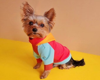 Bright teacup dog hoodie made from cotton french terry, XXS XS dog sweater, Tiny dog clothing, Dog clothes for small dogs and puppies