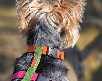 Neon Y Front Dog Harness | Adjustable Teacup & Small Dog Harness | Bright Pink Orange Green Cotton Harness