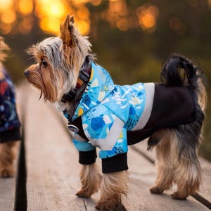 以下が含まれることがあります： 白い抽象的な模様の入った、青と黒のフード付きの犬用ジャケットを着た小さなヨークシャーテリア。犬は木製の表面に立っています。