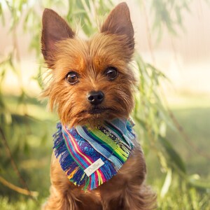 Blue tribal boho autumn dog bandana, over the collar bandana, cute dog bandana, puppy bandana, dog scarf, pet bandana, gift for dog lover