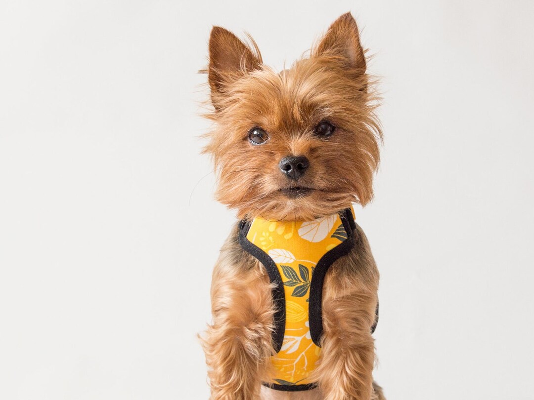 Adjustable Teacup Dog Harness Made From Cotton Fabric, Small Dog