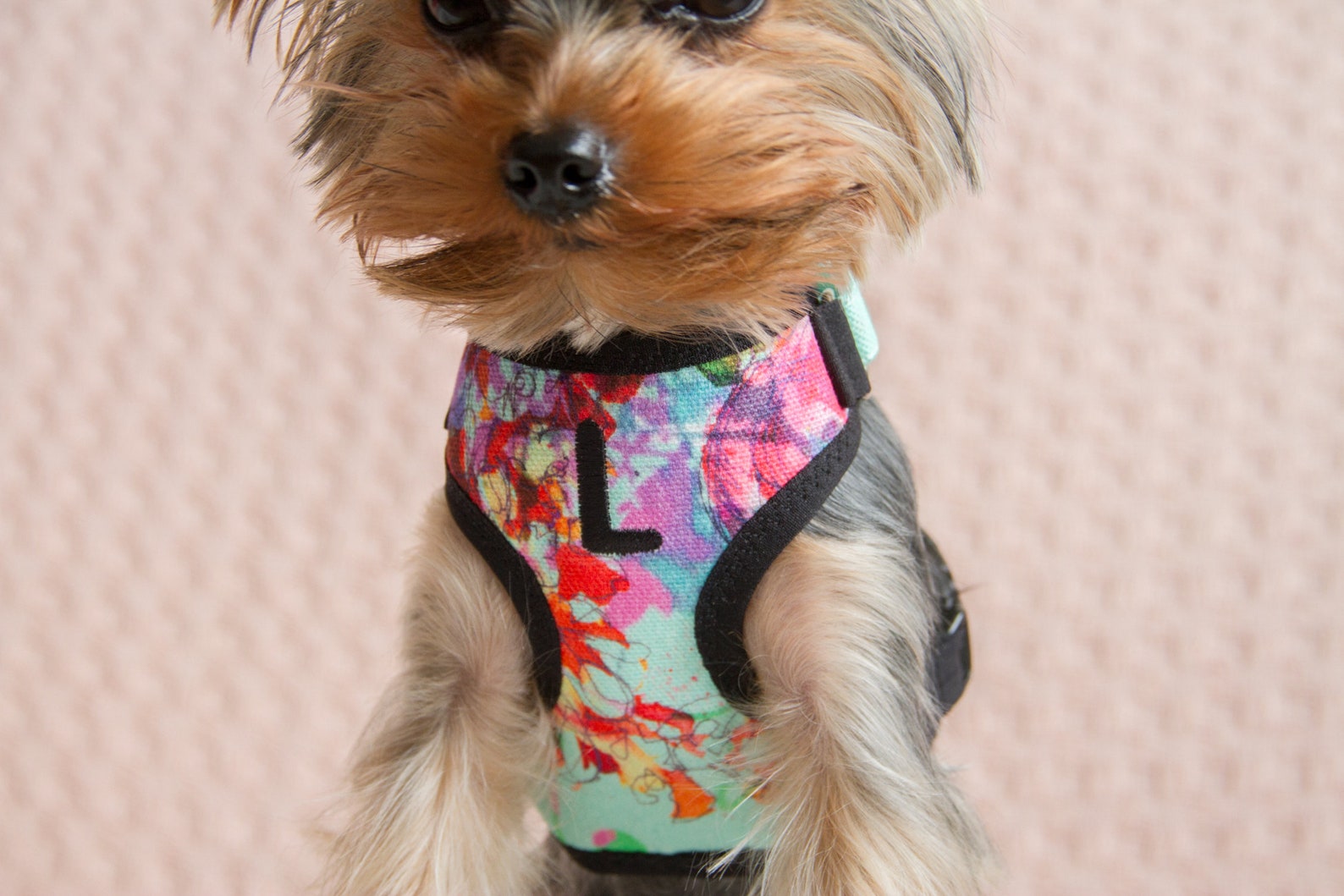 Small Teacup Dog Harness Made From Cotton With Embroidery Etsy Australia