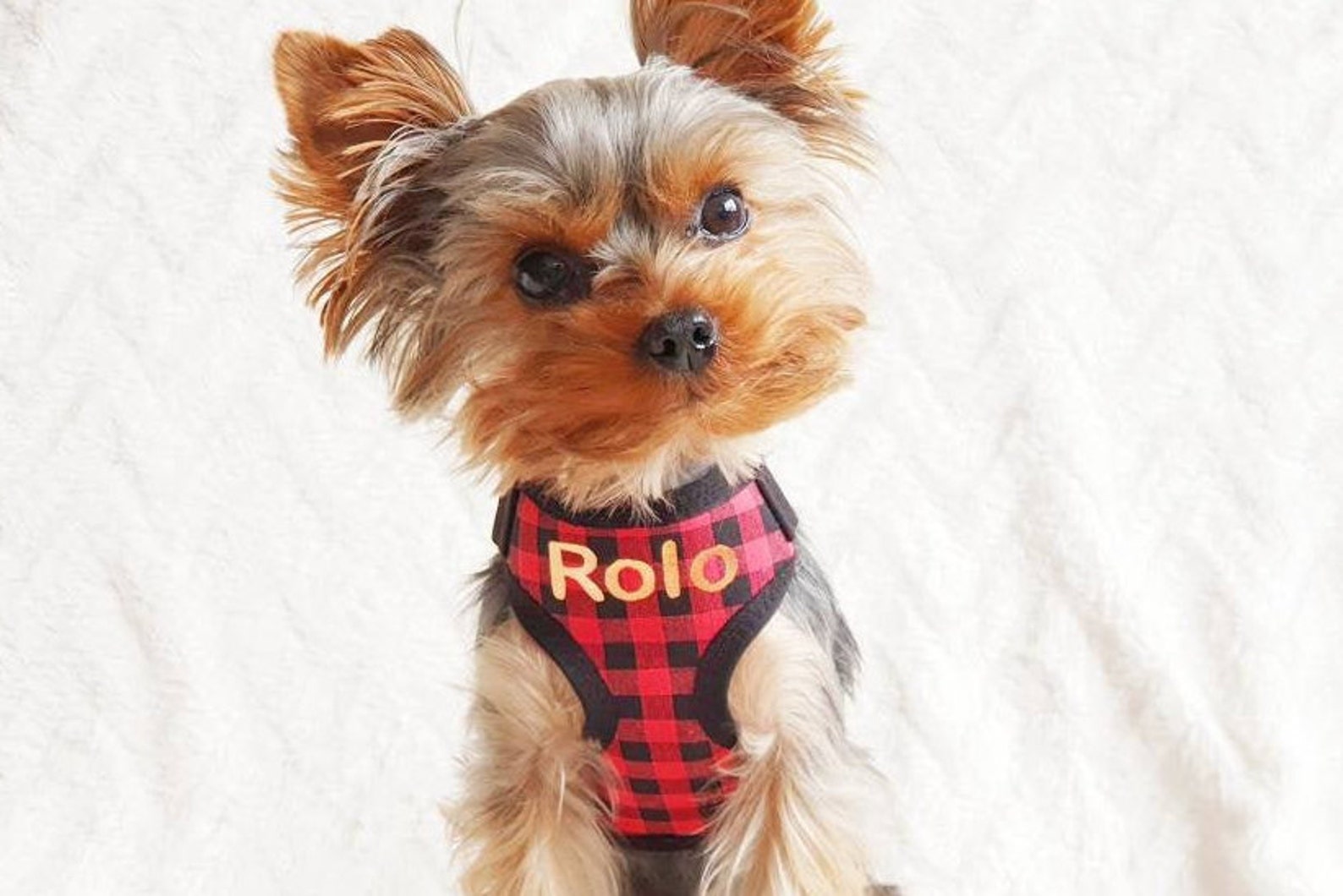 Small Teacup Dog Harness Made From Red Plaid Check Cotton With Etsy