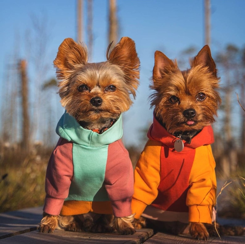 Color-block dog hoodie in mint, mustard yellow, and dusty pink. Handmade from soft cotton French Terry for teacup, small dogs, and puppies. Cozy, stylish, and lightweight pet sweater with custom fit. Perfect for chilly walks and everyday wear. Custom-made to fit different dog breeds like Yorkies, Chihuahuas, and Toy Poodles. High-quality craftsmanship with durable stitching.