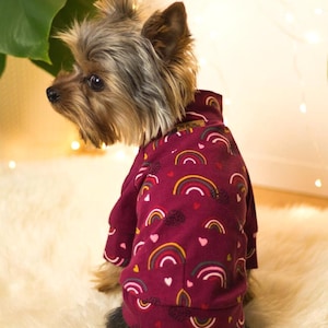 Teacup Dog Sweater, Small Dog Clothes, Puppy Sweater, Yorkie Chihuahua Outfit, Dog T-shirt, Tiny Dog Clothing, Raspberry Rainbow Sweater