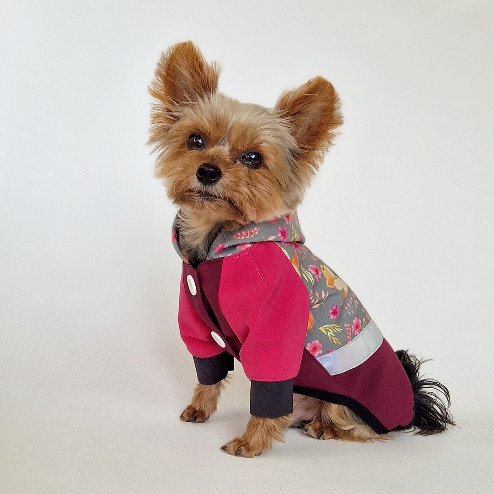 Dog Rain Coats For Small Dogs Dog Raincoat For Small Medium Dogs