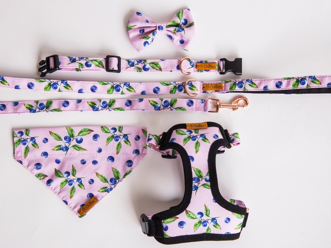 Adjustable Teacup Dog Harness, Leash, Collar, Bandana With Blueberry