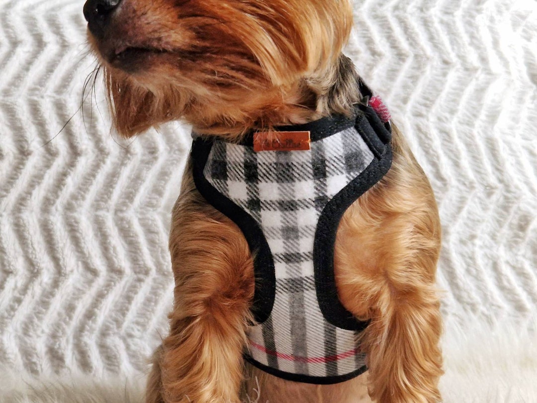 Plaid Cotton Flannel Teacup Dog Harness, Small XXS Yorkie Harness