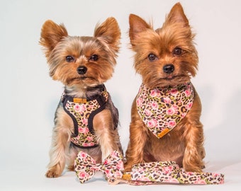 yorkie harness