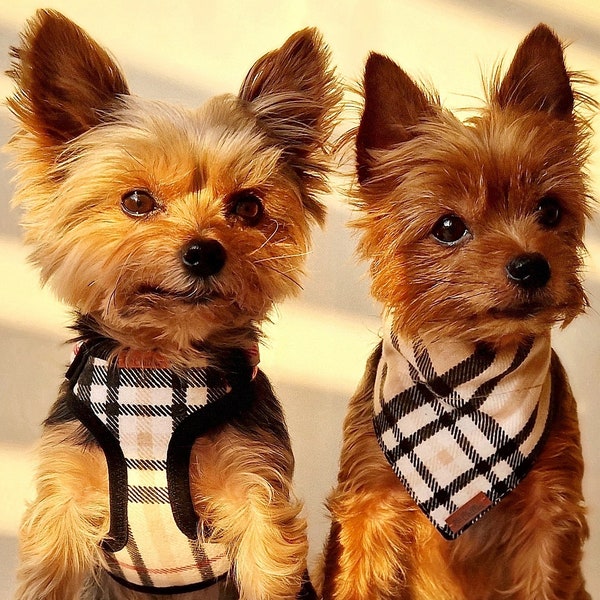 Plaid beige harness set for small dogs, Custom handmade Teacup puppy adjustable harness, Mini Yorkie harness, collar, bandana, leash set.