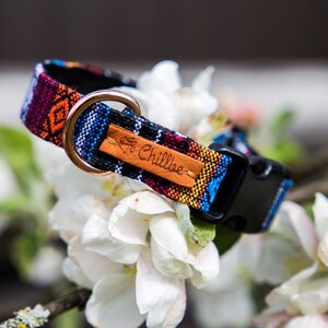 Op de afbeelding: Een kleurrijk hondenhalsband met een zwarte gesp en een bruin leren label met de tekst "Lil' Chillbee".