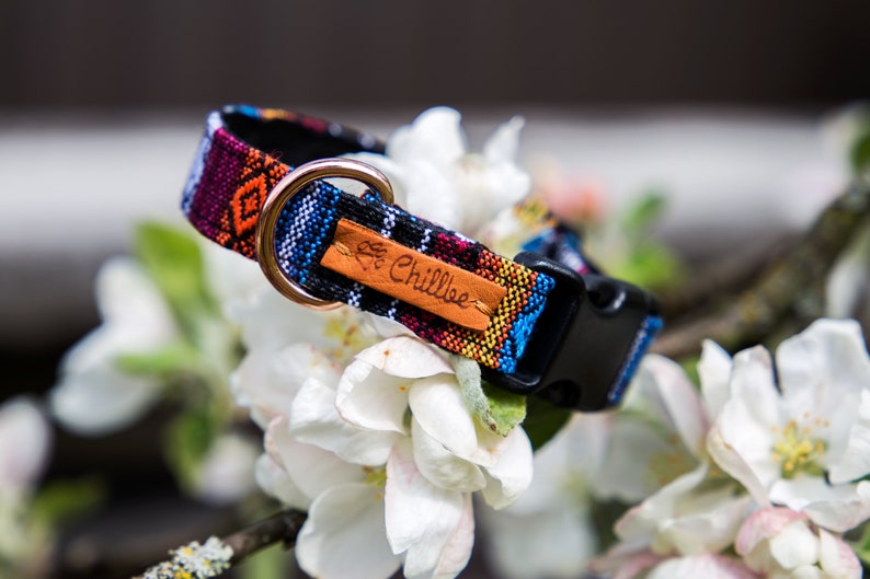 Op de afbeelding: Een kleurrijk hondenhalsband met een zwarte gesp en een bruin leren label met de tekst "Lil' Chillbee".