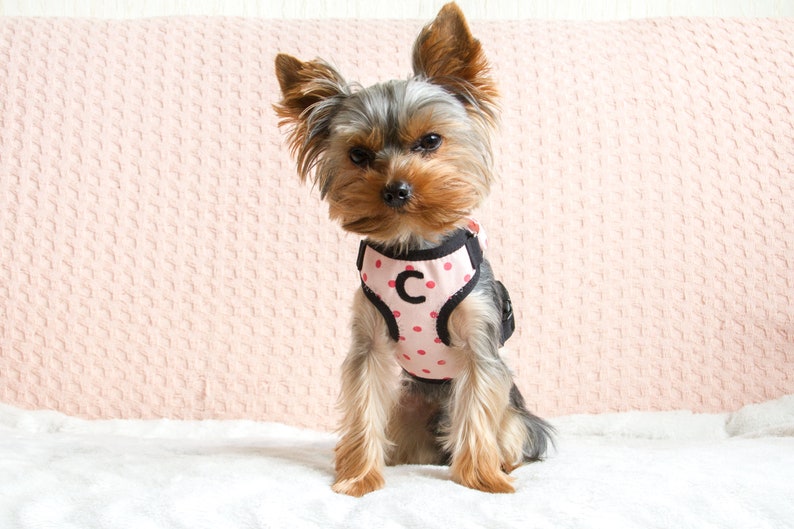Small Teacup Dog Harness Made From Pink Polka Dots Cotton With Etsy