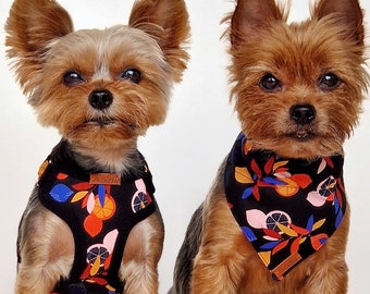 Set di pettorine regolabili per cani a forma di tazza da tè: stampa di frutta, cotone fatto a mano