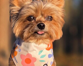Personalized Dog Bandana | Custom Name Bandana for Small & Teacup Dogs or Cats | Matching Collar Set