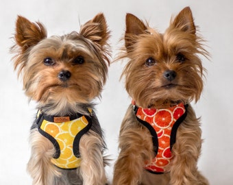 Pettorina per cani di piccola taglia (teacup e minuscola) / Pettorina regolabile, leggera, morbida e imbottita per Yorkshire Terrier taglia XXS con stampe naturalistiche