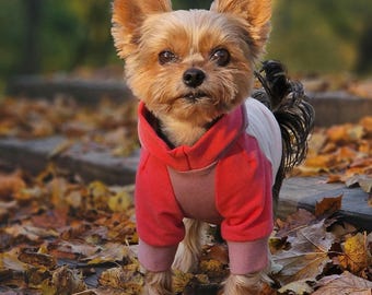 Bright pink teacup dog hoodie made from cotton French terry, XXS XS dog sweater, Tiny dog clothing, Dog clothes for small dogs and puppies