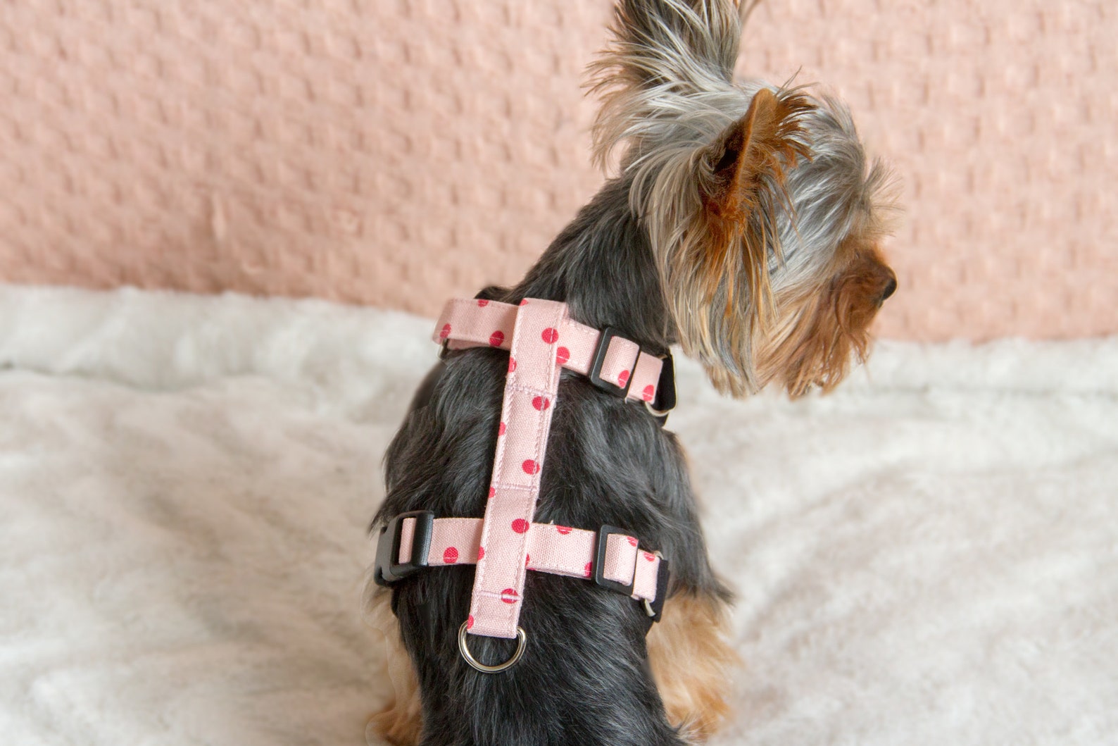 Small teacup dog harness made from pink polka dots cotton with Etsy