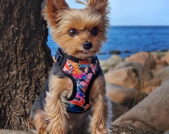 Pettorina per cani di piccola taglia (teacup e minuscola) / Regolabile, leggera, morbida e imbottita, taglia XXS, per Yorkshire Terrier, con stampa floreale e idrorepellente.