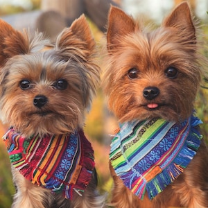 Extra small dog bandanas deals